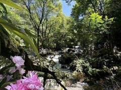 -少华山国家森林公园
