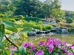 -云龙湖旅游景区