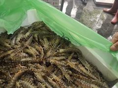 -常州环球恐龙城维景国际大酒店