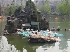 -团结湖公园