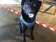 -Cactus墨西哥仙人掌餐厅