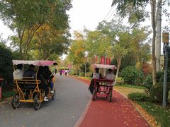 -上海长兴岛郊野公园