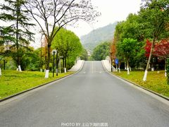 -杭州世外桃源君澜度假酒店