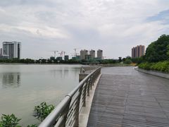 -映月湖中央公园