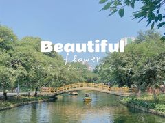 -晓港公园