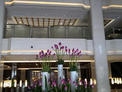 -百富怡大酒店