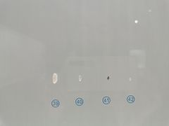 -青岛贝壳博物馆