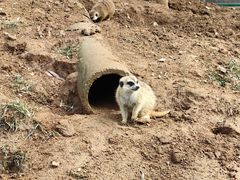 -秦皇岛野生动物园