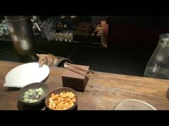 -上海璞麗酒店