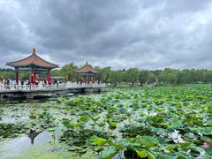 -长春市南湖公园