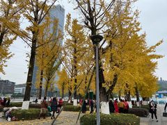 -百林公园-两江幸福广场