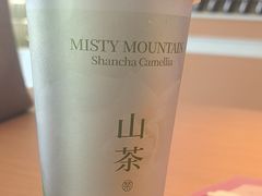 -雾与山茶(大禹城店)