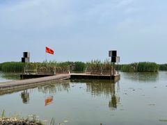 -洪湖生态旅游区