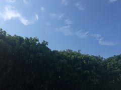-华侨公园