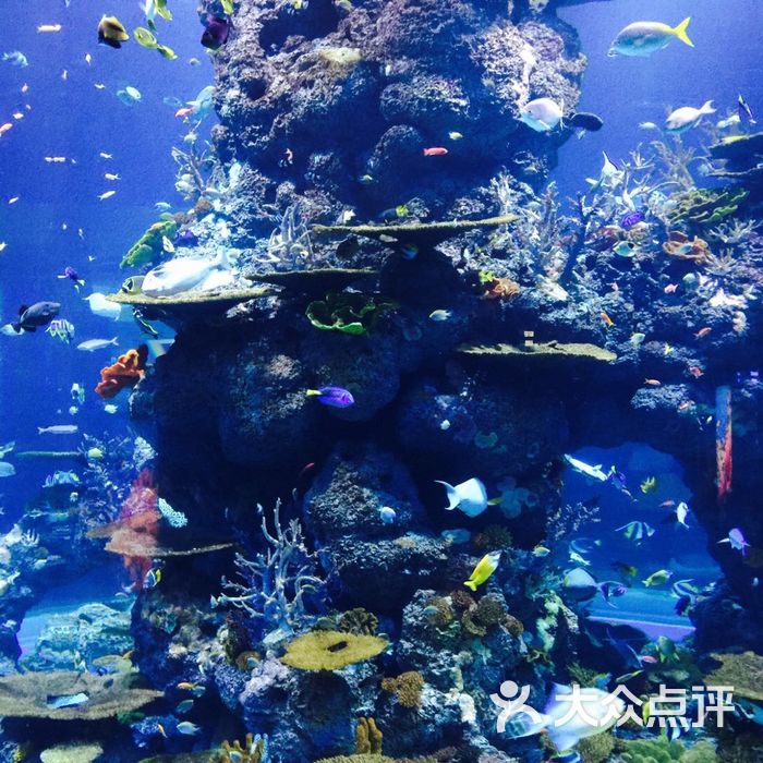 驻马店水族世界海洋馆图片