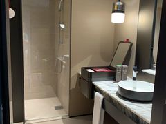 -新加坡瑞士史丹福酒店