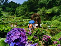 -鼓岭旅游度假区