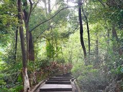-火炉山森林公园