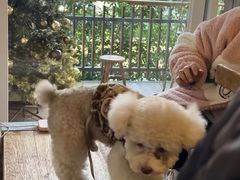 -蜀冈西峰生态公园