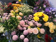 -花未央花店·WEYOUNG