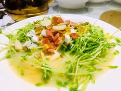 素拌面-新疆伏拉沃餐厅(白龙南路店)