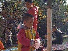 -重庆市江北嘴中央商务区中央公园