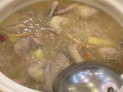 -鸽鸟轩(石岐店)