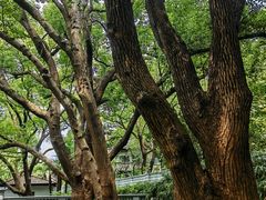 -上海宋庆龄故居纪念馆