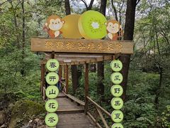 -大岭沟猕猴桃谷风景区