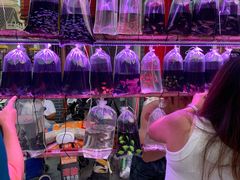 -华声天桥民俗文化园