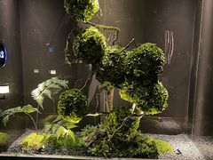 -唐宫足道·SPA·影院会馆(木渎店)