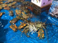-盒马鲜生(悦峰店)