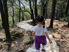 -火炉山森林公园