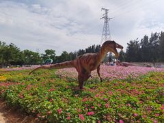 -海上田园