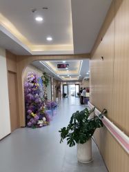 -上海伊莱美医疗美容医院