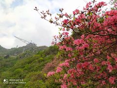 -木兰云雾山