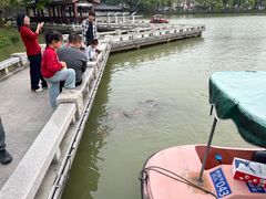 -惠州西湖丰渚园
