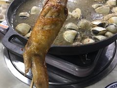 -顺德哥卜卜贝(旗舰店)
