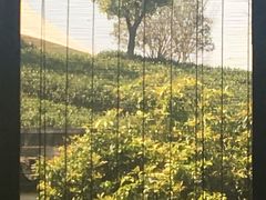 -帐篷客·溪龙茶谷度假酒店