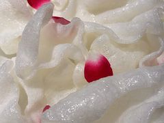 虾片-海底捞火锅(杭州庆春路夜宵主题店)