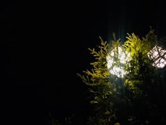 -神光山国家森林公园