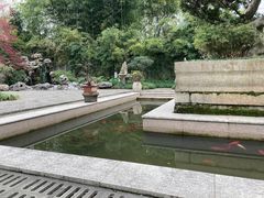 -上海醉白池公园
