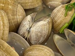 -渔家乐小海鲜(皇姑店)