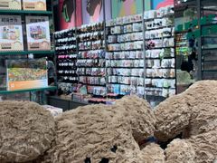 -TheGreenParty(槐房万达店)