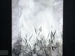 -中国美术学院-美术馆