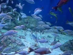 -成都浩海立方海洋公园