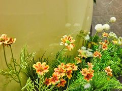 -小仙女采耳·按摩·SPA(深圳旗舰店)
