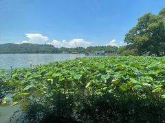 -湖畔居茶楼(湖滨店)