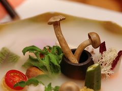 -叶叶菩提(太原别墅店)