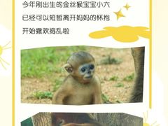 -杭州野生动物世界